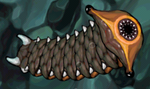 Aquaria worm-predatory.png