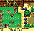 TLoZ LW Bottle Grotto.png