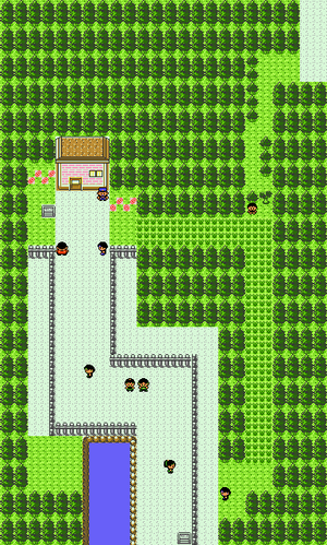 Johto Route 35 - Bulbapedia, the community-driven Pokémon encyclopedia