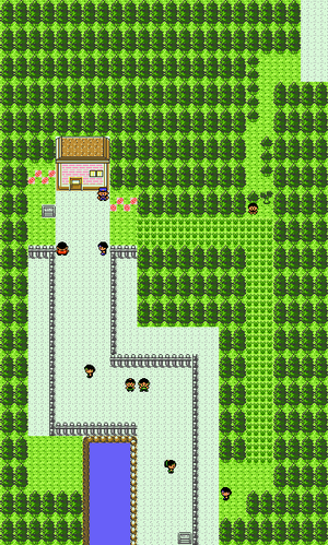 Pokémon HeartGold and SoulSilver/Route 30 — StrategyWiki