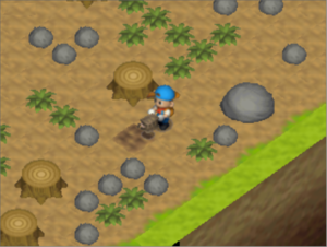 Harvest Moon 64 Glitches Strategywiki The Video Game Walkthrough And Strategy Guide Wiki