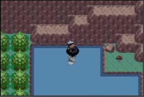 Pokémon Ruby and Sapphire/Safari Zone — StrategyWiki