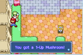 The 1-Up Mushroom the blue Toad gives you