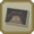 DGS2 icon Blossoming Attorney Crime Scene Photo.png