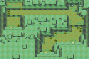 Pokémon Ruby and Sapphire/Granite Cave — StrategyWiki