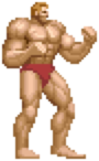 Altered Beast super human.png