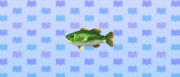 Category:Animal Crossing: New Leaf fish images — StrategyWiki, the ...