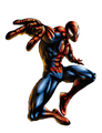 MVC Spider-Man.png