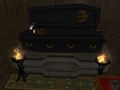 TS2N Coffin.jpg