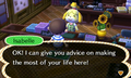 ACNL AdvicefromIsabelle.png
