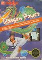 Dragon Power NES box.jpg