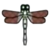 DogIsland redwingdragonfly.png