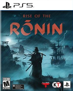 Box artwork for Rise of the Ronin.