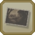 DGS2 icon Incriminating Photo.png
