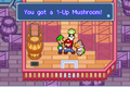 The 1-Up mushroom that the Lost Koopa gives you.
