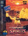Samurai Spirits box.jpg
