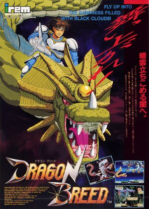 Dragon Breed arcade flyer.jpg