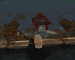 Hitman KTGW roof.png