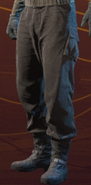 SWS-Cosmetic-FlightTechPants.png