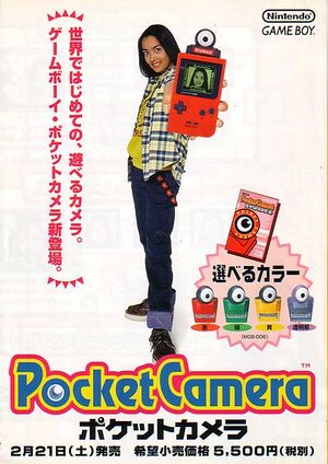 Pocket Camera flyer.jpg