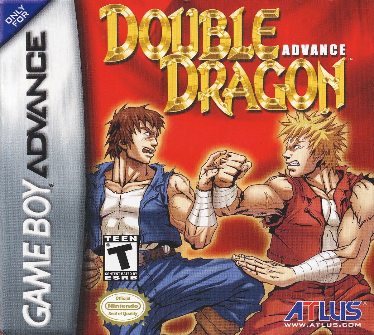 Double Dragon V: The Shadow Falls - Wikipedia