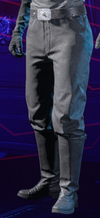 SWS-Cosmetic-FlightTechTrousers.png