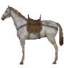 Steppe Horse