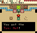 Zelda Ages Overworld Tuni Nut repaired.png