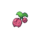 Cherubi