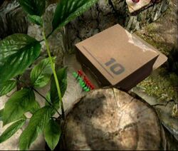 Pikmin pushing the cardboard box