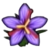 DogIsland saffronflower.png
