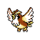 Pidgey