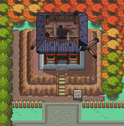 Pokémon HeartGold and SoulSilveEcruteak City — StrategyWiki