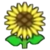 DogIsland sunflower.png