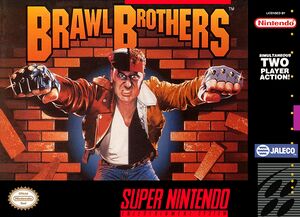Brawl Brothers US box front.jpg