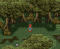 Chrono Trigger Shelter in a Bush.png