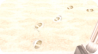 DR2 bullet Footprints on the Beach.png