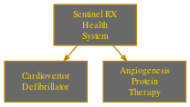 File:DX HR Aug Sentinel RX Health System.svg