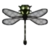 DogIsland whitewingdragonfly.png