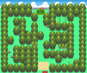 Eterna Gym
