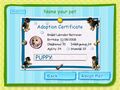 Put your pet's name on the certificate and you're ready to play! The certificate also shows what your pet's stats are.