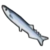 DogIsland pacificsaury.png