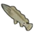 DogIsland bowfin.png