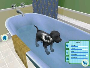 Dogz bath.jpg