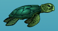 Aquaria turtle.png