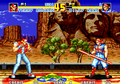 Fatal Fury 3/Hidden Desperation — StrategyWiki