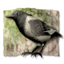 MGS3HD A Bird in the Hand.png