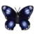 DogIsland commoneggflybutterfly.png