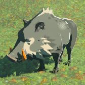 File:TotK Hyrule Compendium Red-Tusked Boar.png
