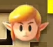 LANS Link Icon.png